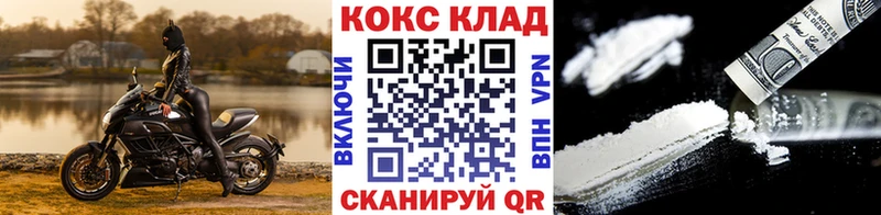 где можно купить   Щучье  COCAIN VHQ 
