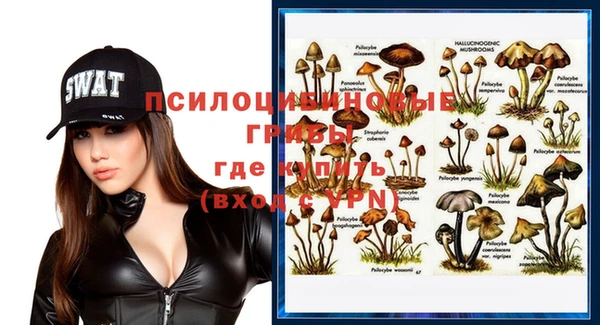 ECSTASY Бронницы