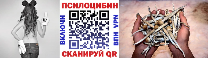 как найти закладки  Щучье  мориарти клад  Галлюциногенные грибы Magic Shrooms 